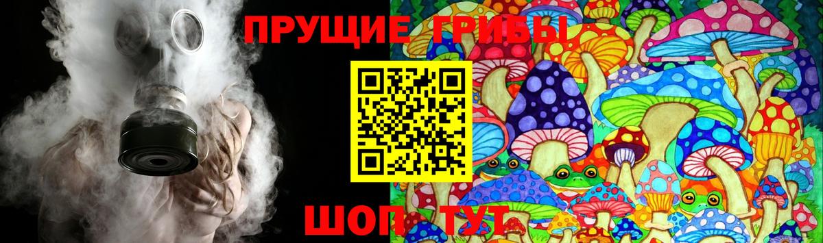 Галлюциногенные грибы мицелий  Псилоцибиновые грибы мицелий  Лесосибирск  Вход с VPN 